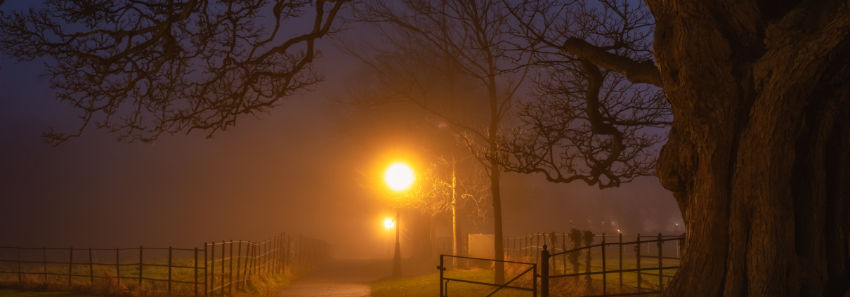 Footpath and gate illuminated by vintage street lamps and vanishing in thick fog at night. Silhouette of beech tree in Phoenix Park, Dublin, Ireland by Dawid Kalisinski Photography via iStockPhoto