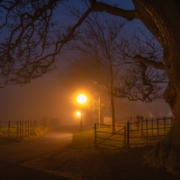 Footpath and gate illuminated by vintage street lamps and vanishing in thick fog at night. Silhouette of beech tree in Phoenix Park, Dublin, Ireland by Dawid Kalisinski Photography via iStockPhoto